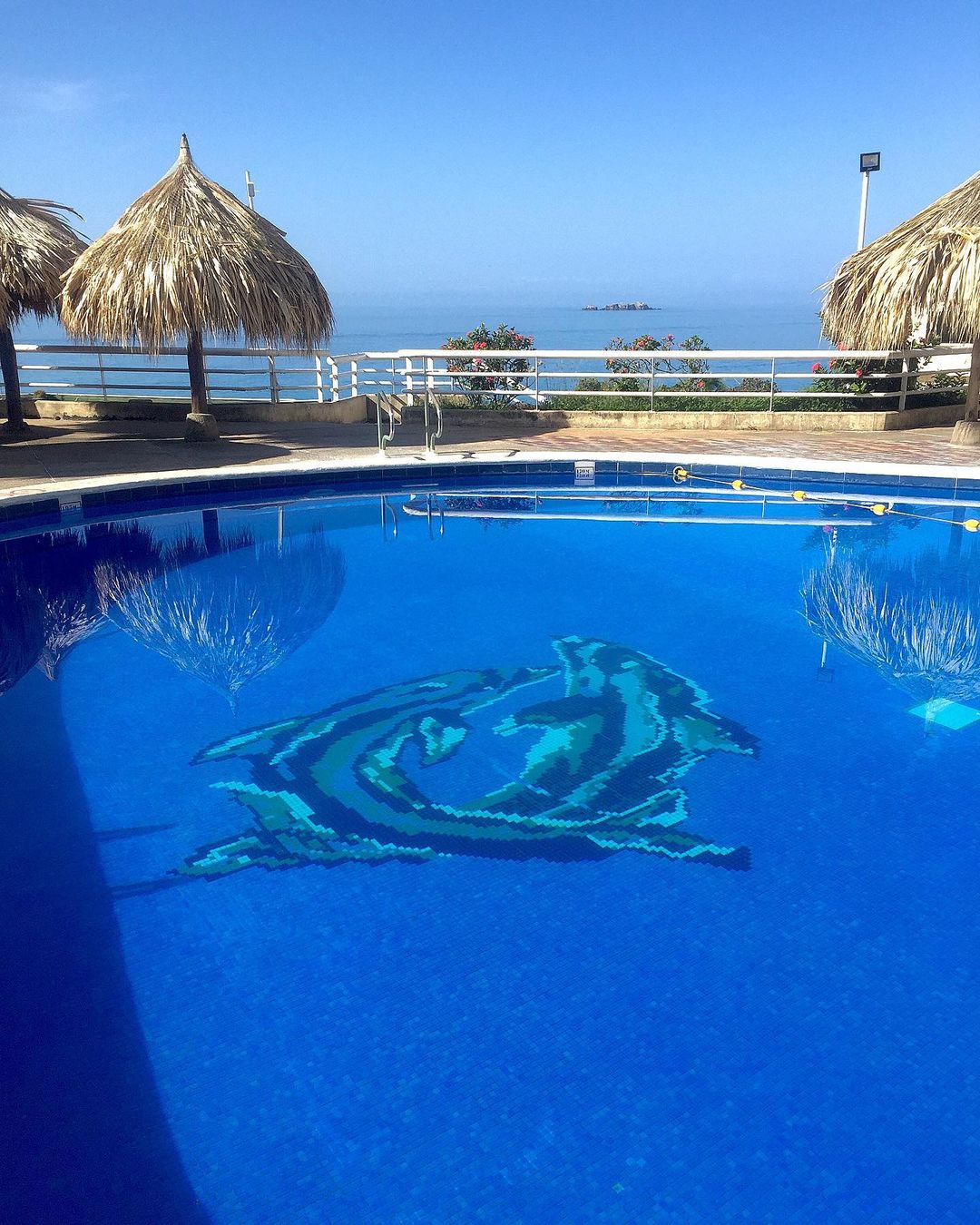 Hippocampus Vacation Club