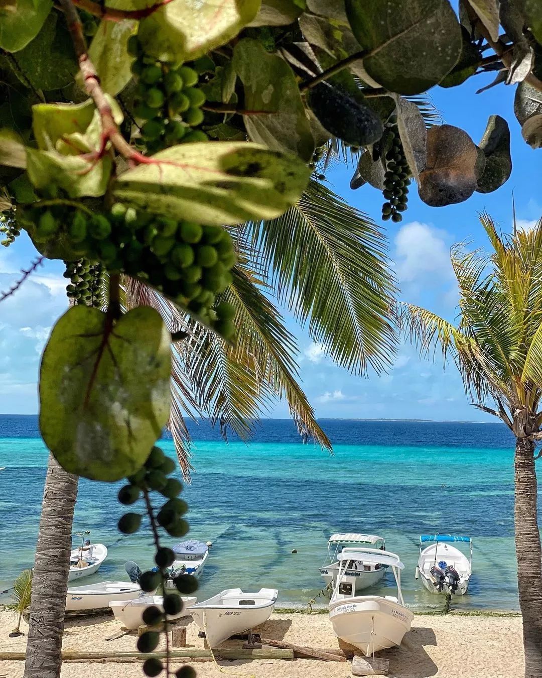 Posada Mediterráneo