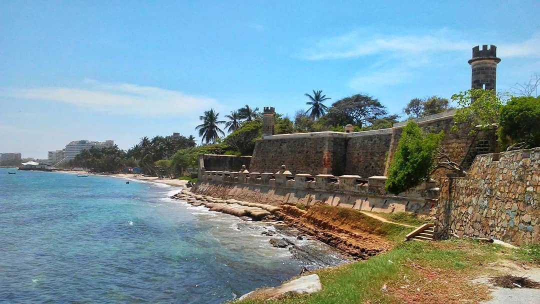 PAMPATAR: Gastronomía y Diversión