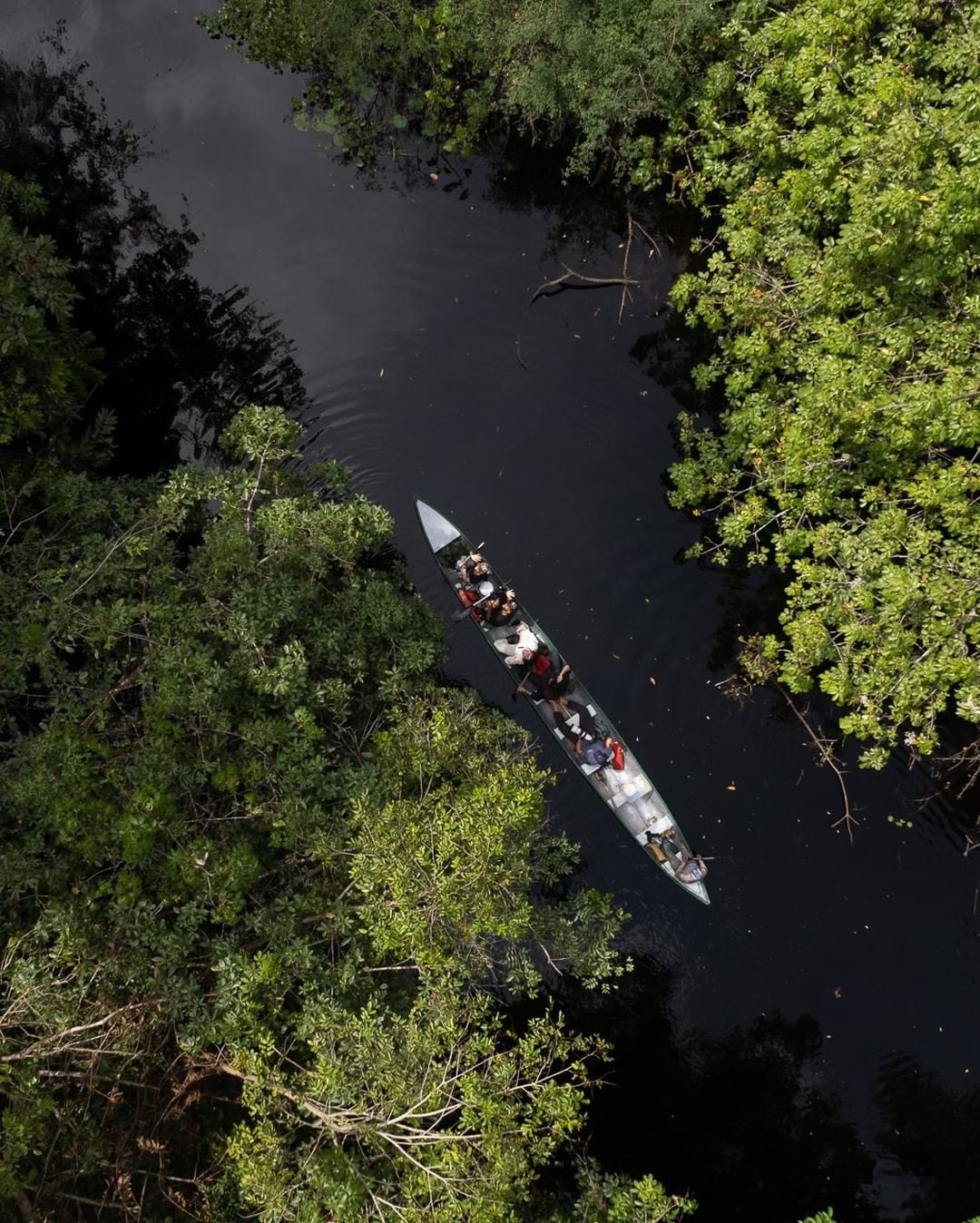 TOUR DELTA  DEL ORINOCO