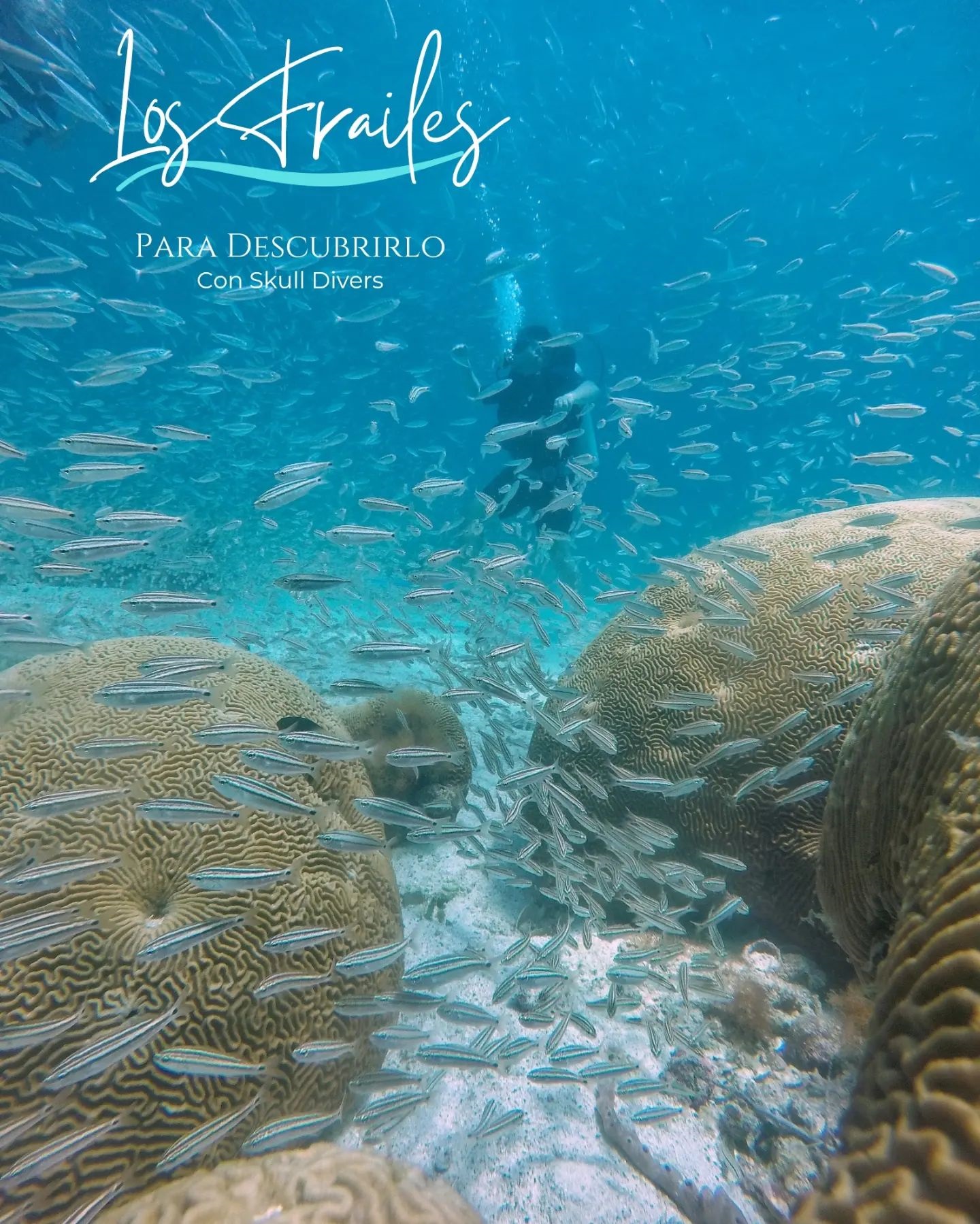 EXPEDICIÓN SUBMARINA A LOS FRAILES