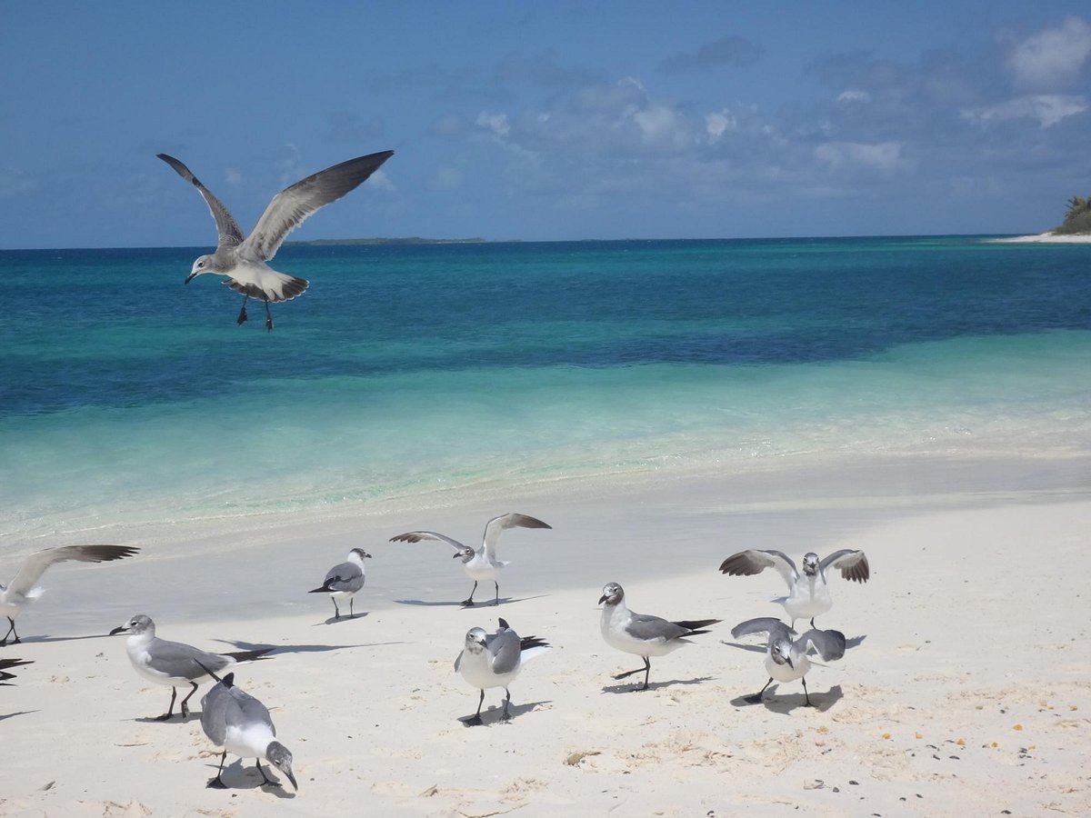 PASEO A CAYO DE AGUA