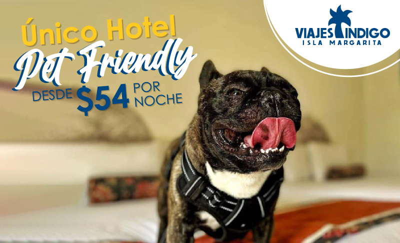 Único hotel Pet Friendly  🐕🐶🐱en Margarita🌴