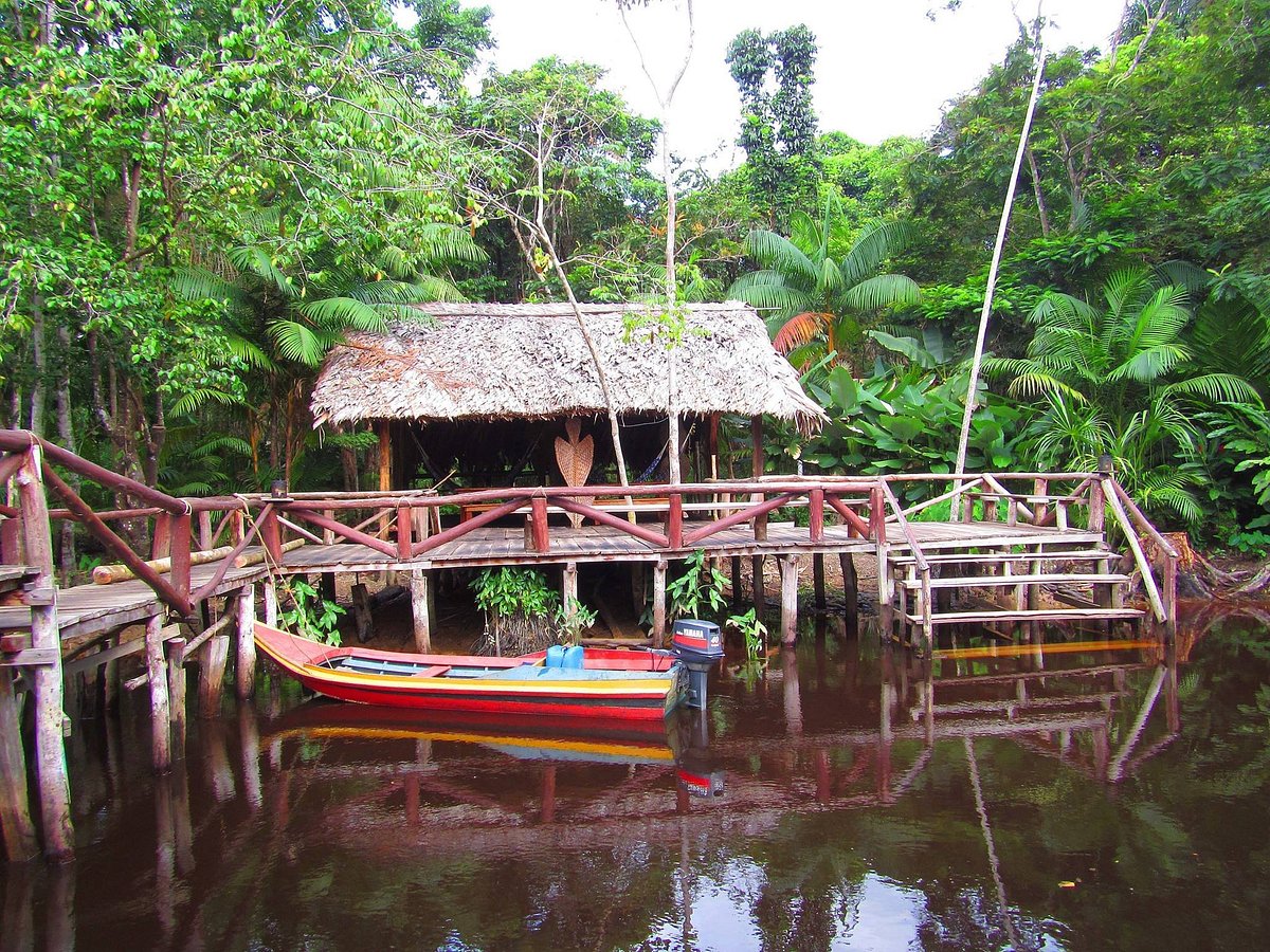 Galería