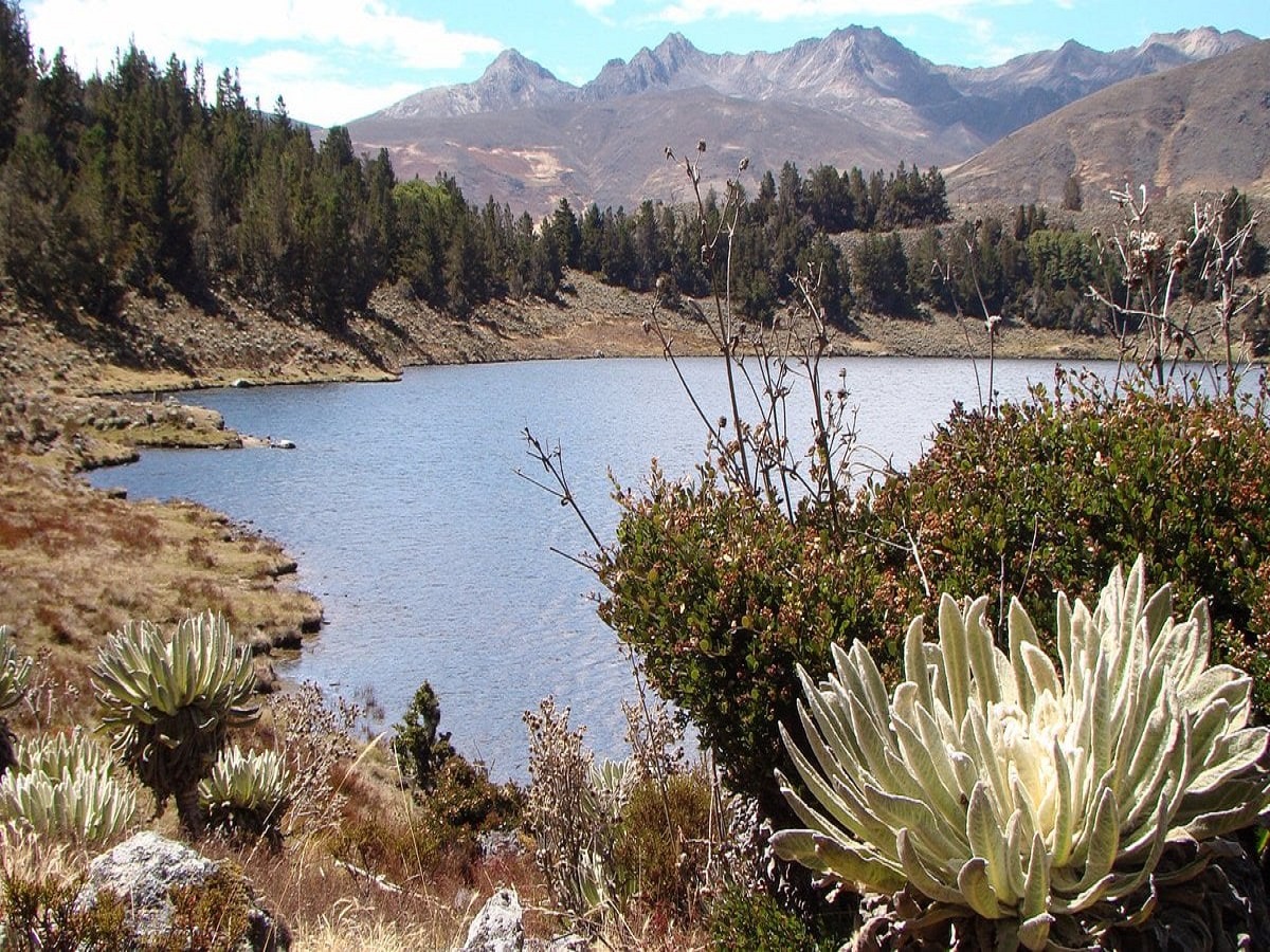 Galería