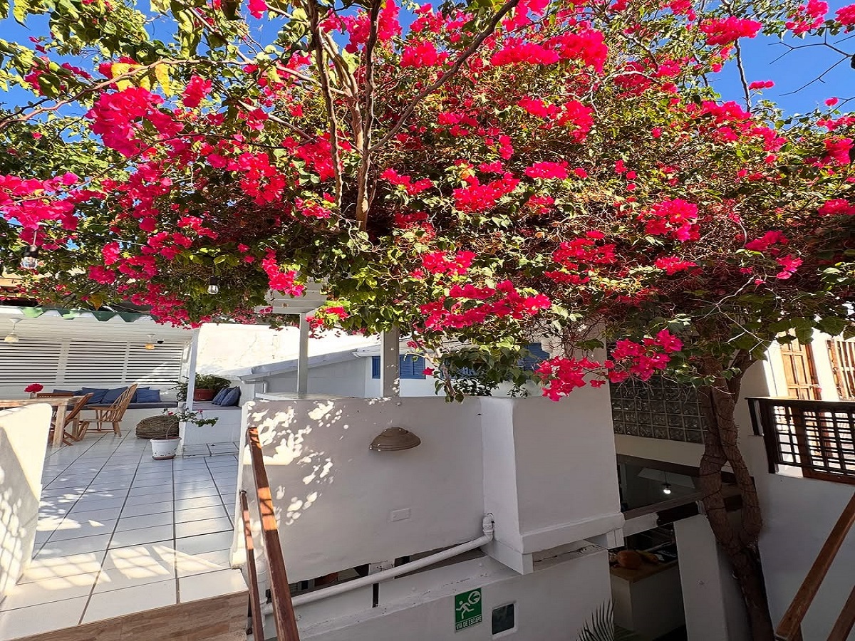 Galería